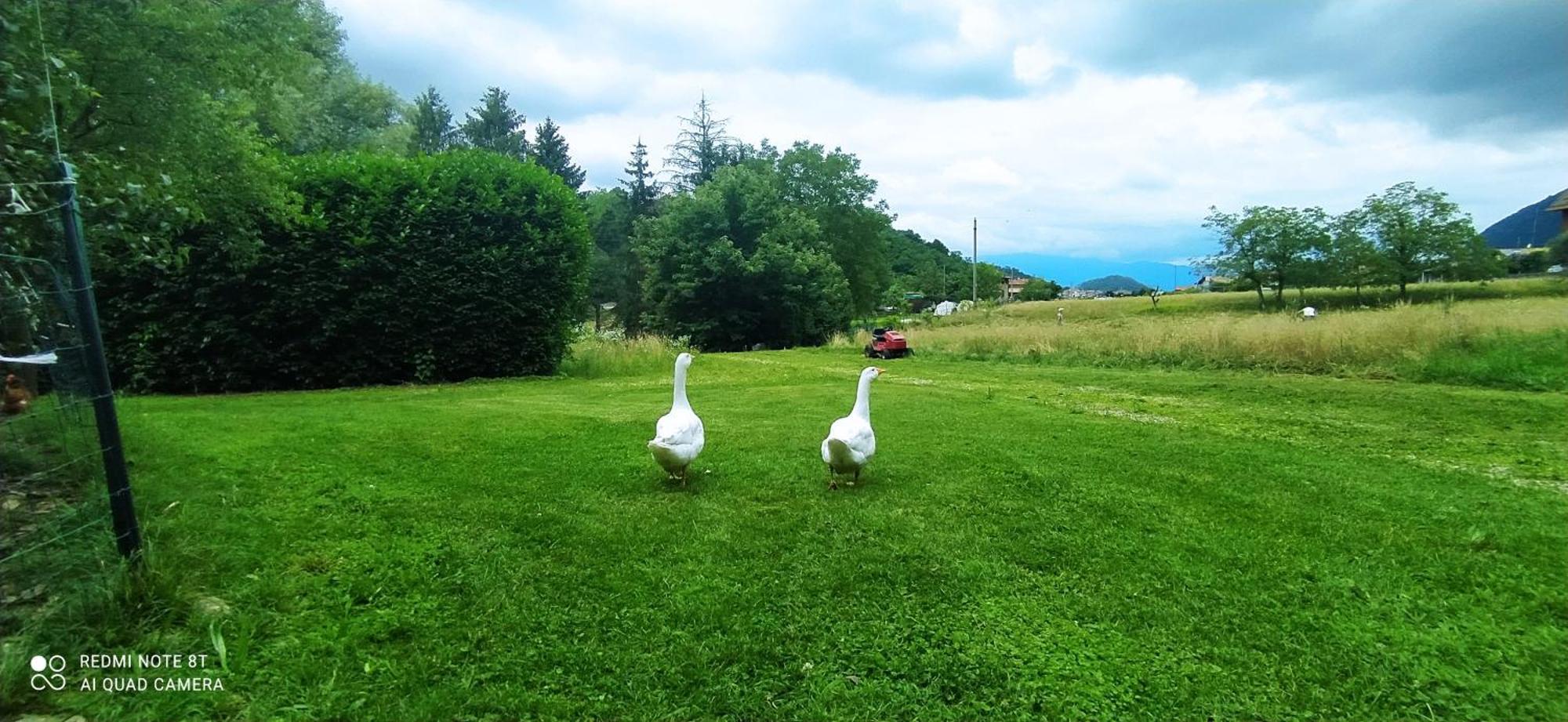 Brenta Casale Del Cantico المظهر الخارجي الصورة